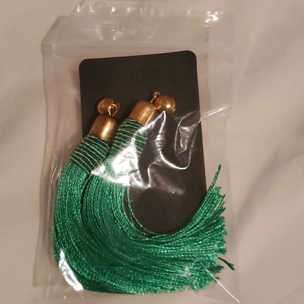 Fashion earrings
